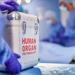 How Solana Price Can Climb to $140 Despite Persistent Long Liquidations