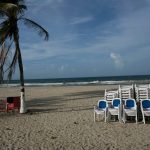 China is ‘leaps and bounds ahead’ in robotics, experts says